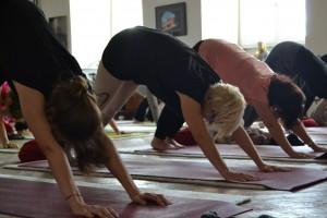 Yogareise 2014