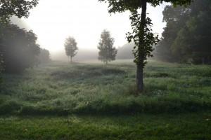 Wandermeditation in Stille - Eindrücke