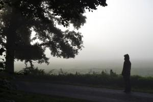 Wandermeditation in Stille