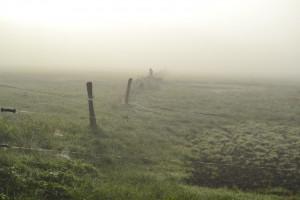 Wandermeditation in Stille - Eindrücke