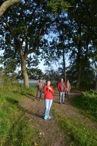 Wandermeditation in Stille