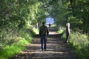 Wandermeditation in Stille